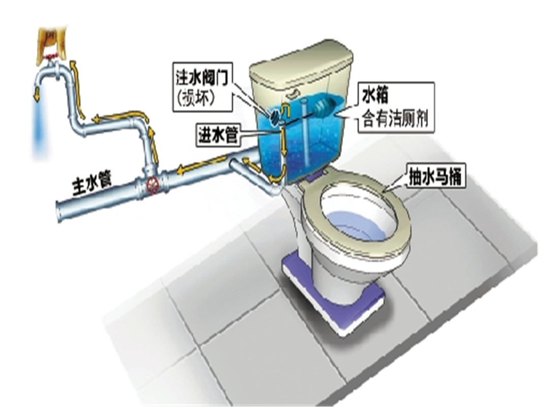 马桶内部结构图 排水图片