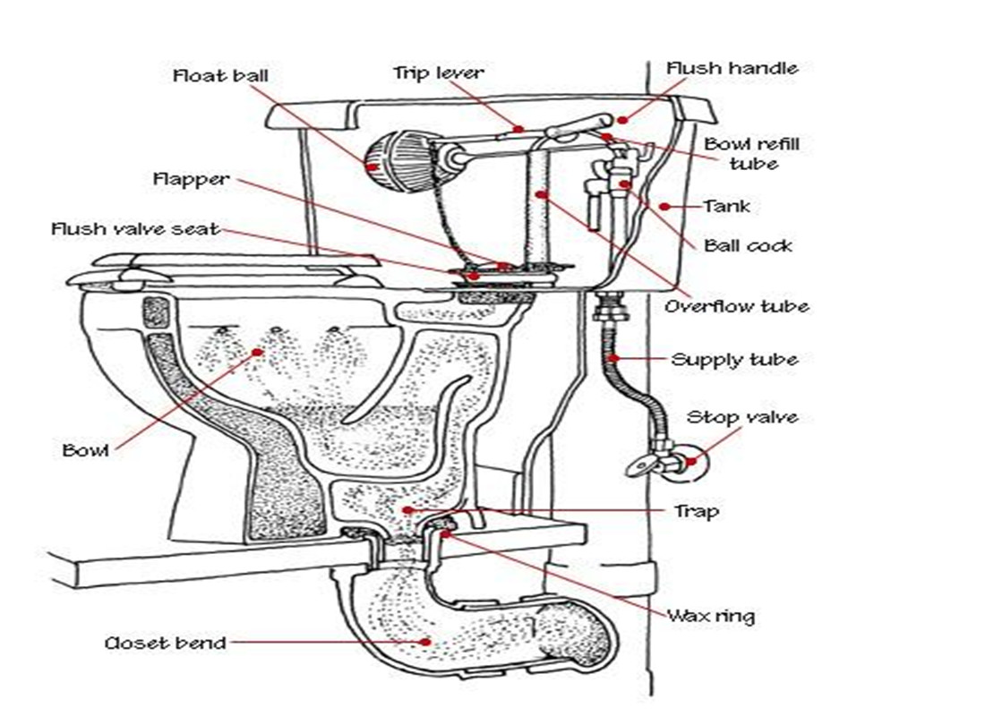 马桶结构图 剖面图片