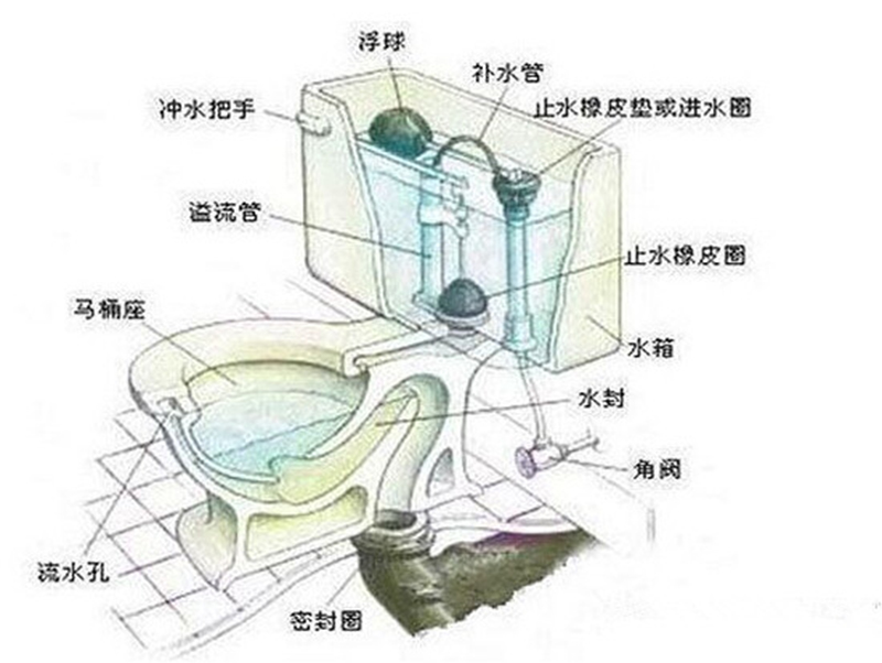 蹲式马桶好不好 蹲式马桶结构图