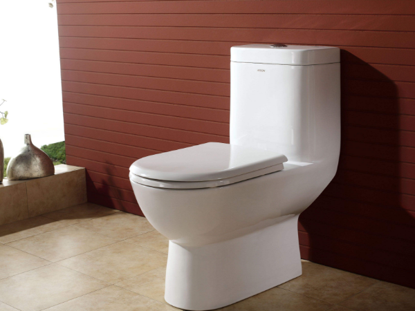 坐便器排名_坐便器构造(2)