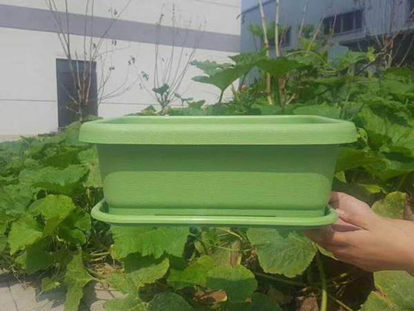 阳台种菜盆简单自制方法种菜盆diy
